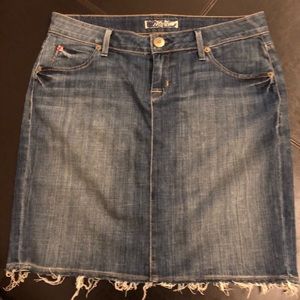 COPY - Hudson Denim MIDI Skirt